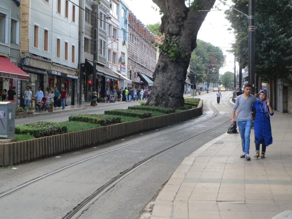 Lars om letbanen i Istanbul:  "I Istanbul har de respekt for træer. Som det ses af billedet fra deres moderne T1-linje, som jeg selvfølgelig fik en tur med, er det ene af letbanens to spor snoet pænt udenom træet."