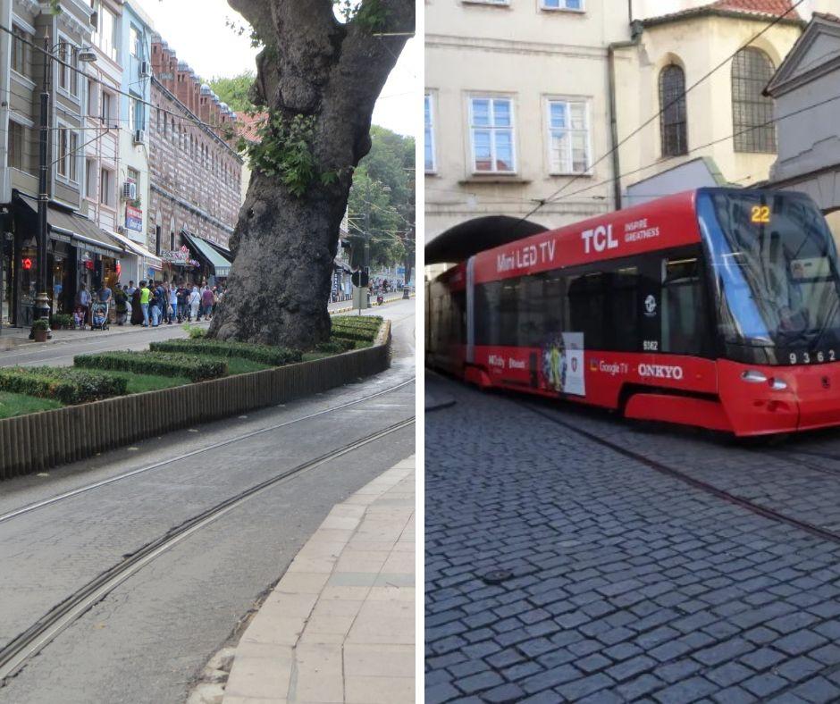 Sommerferiekonkurrencens vinderbilleder: Til venstre ses hvordan sporene er lagt rundt om et gammelt træ i Prag, og til højre har læseren været i Prag og køre med letbane.